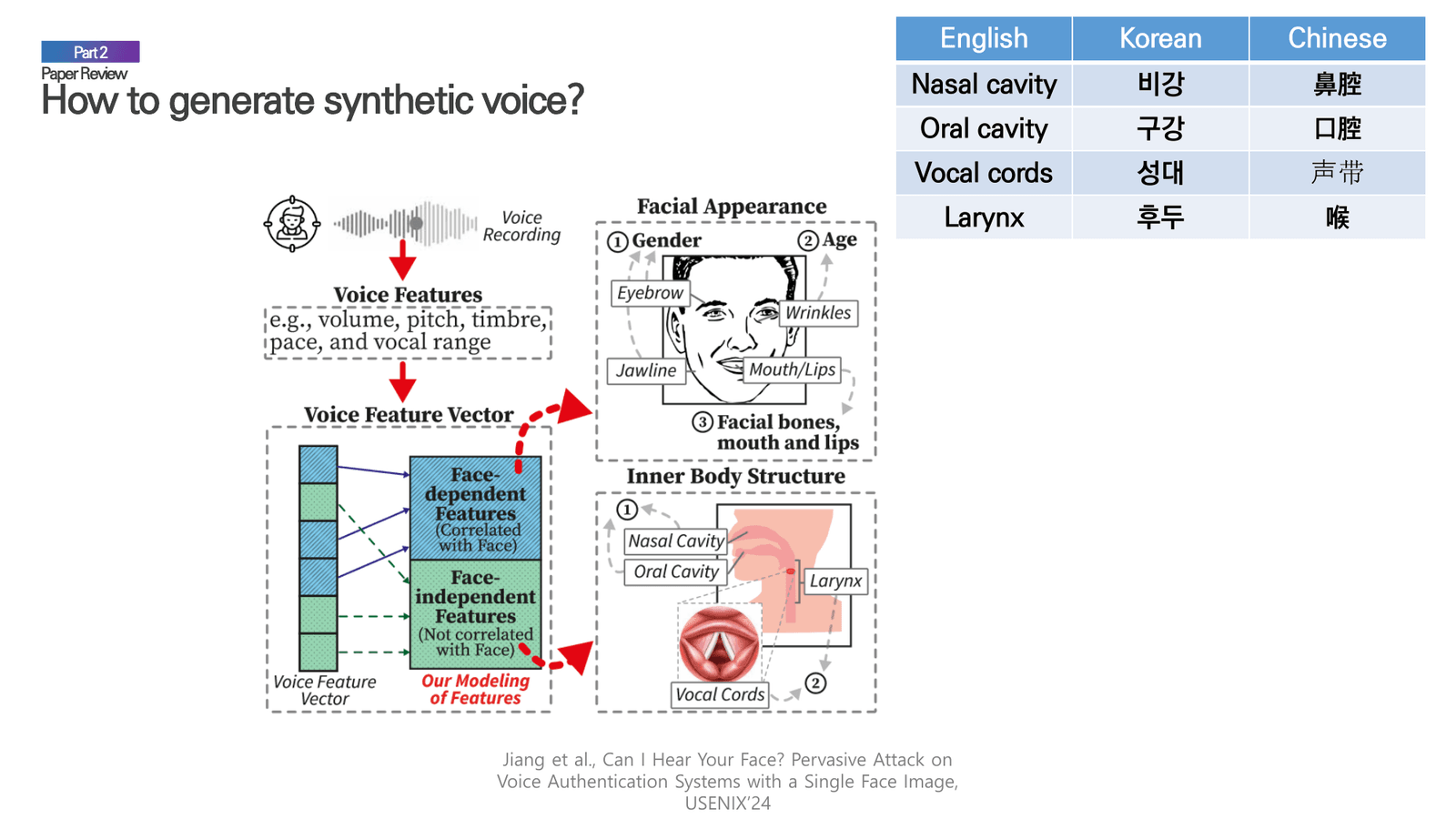 Correlation between facial appearance and voice features showing face-dependent and face-independent components.